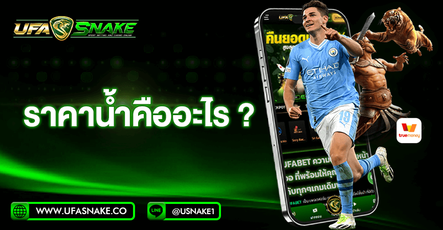 ราคาน้ำคืออะไร